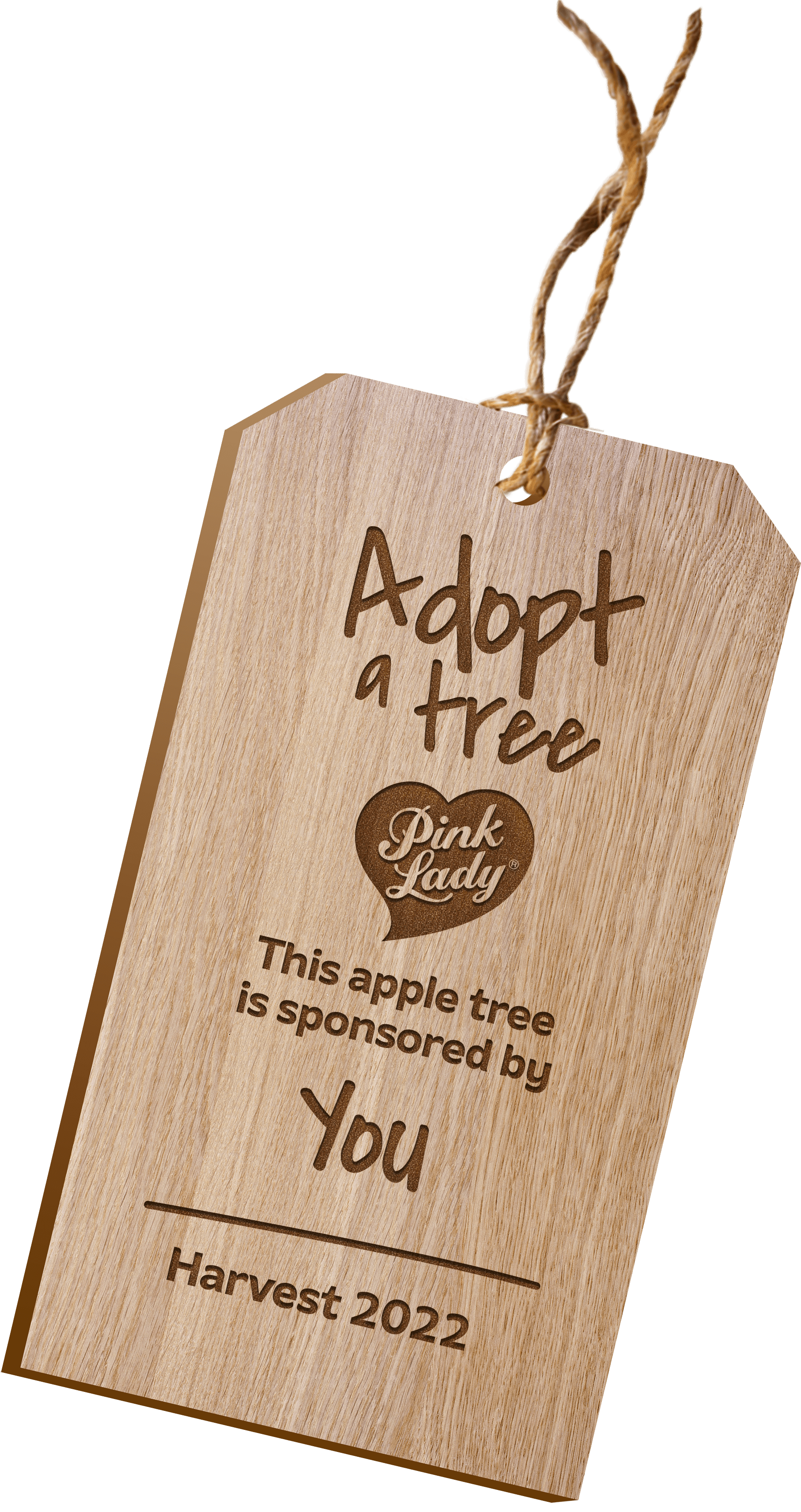 Adopt a tree