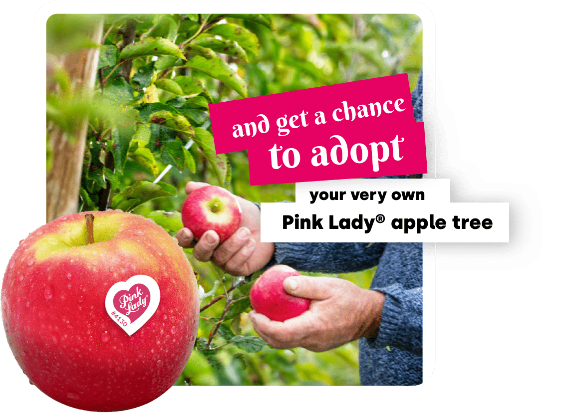 Win a trip to France to harvest your own Pink Lady® apples in the orchard